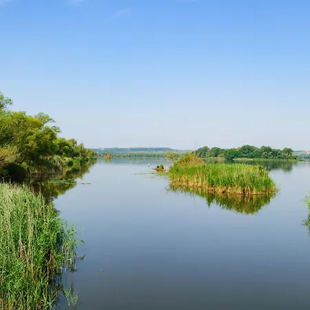 In - Balaton 18946 Hévíz