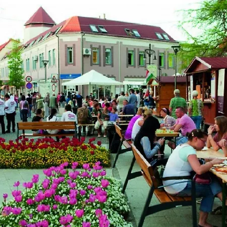 Appartamento In - Balaton 18946 *